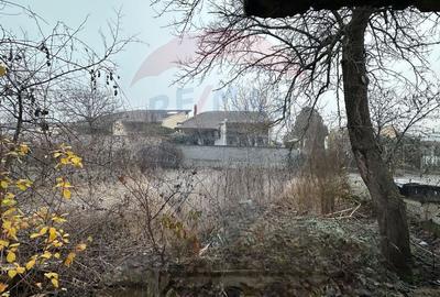 Casă 6 camere cu teren total de 572 mp zona Tabacovici Aradul Nou - 3