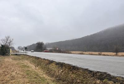 Teren de 10000 mp, în Căpușu Mare - 5