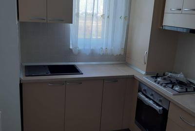 Apartament cu 3 camere decomandat, mobilat în Prelungirea Ghencea - 13