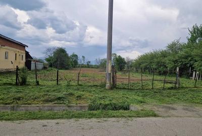Spațiu comercial, în Preajba Mare - 3