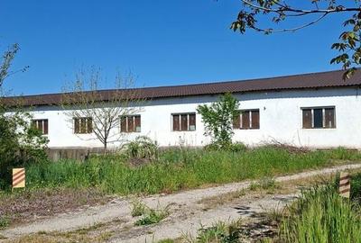 Teren de 11600 mp, în Central - 5