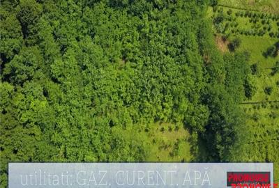 Valea Budului - Teren intravilan. Lac. Padure - 7