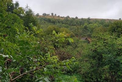 Casă de vânzare în sat Inucu( Inatelke kalotaszegi falu) - 4
