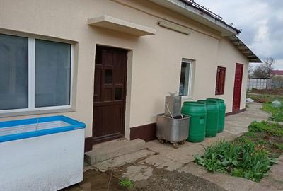 Casă cu 4 camere în Caracal - 5