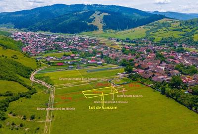 Teren Construcții intravilan de 612 mp, în Zizin - 3
