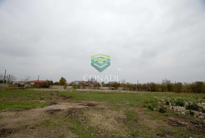 Teren Construcții intravilan de 10000 mp, în Dor Mărunt - 4