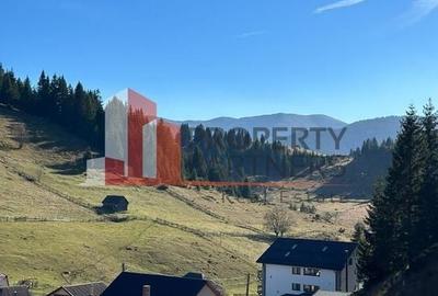 Teren Fundatica intravilan 4500 mp - 8