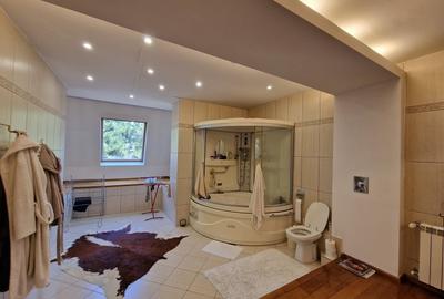 De Vanzare! Vila (S+P+2E) pe Iancu Nicolae - 13