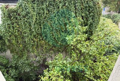 UNIC in Zona - Apartament in Vatra Luminoasa - 2