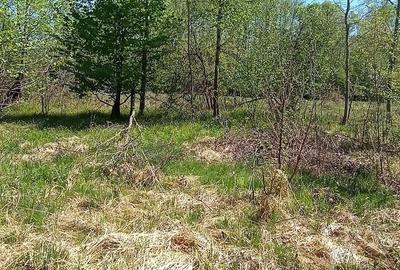 Teren de 8864 mp, în Voislova - 6