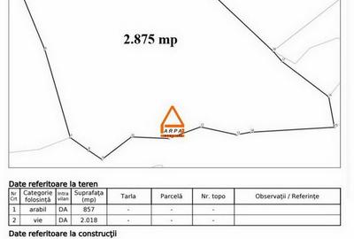 Teren de 2875 mp, în Bucium - 6