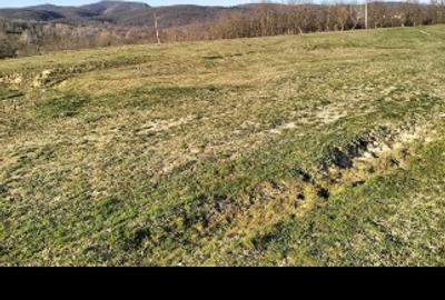 Teren agricol extravilan de 10600 mp, în Dieci