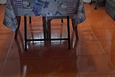 Casă cu Teren 960 Mp în Broșteni - 4