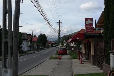 Casă cu 5 camere cu Teren 4500 Mp în Lerești - 3