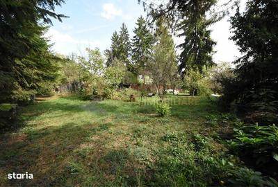 Casă cu 4 camere cu Teren 978 Mp în Gruia - 1