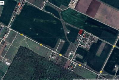 Teren de 892 mp, în Cornetu - 3