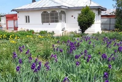 Casă cu 3 camere în Zorile - 3