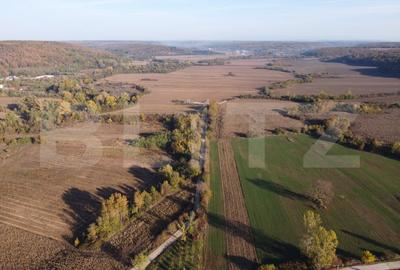 Proprietate de vanzare, 1000 mp, sat Garleni - 8