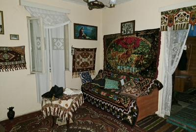 Casa de vanzare in Ibanesti - 9