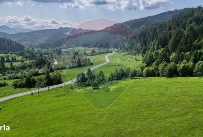 Spațiu comercial, în Brădet - 6