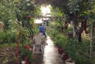 Vanzare casa Braila, zona centrala - 4