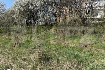 Spațiu comercial, în Crișeni - 4