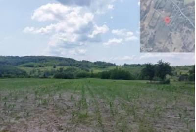 Teren de 6015 mp, în Bustuchin - 2