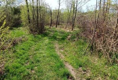 Teren de 8864 mp, în Zăvoi - 6