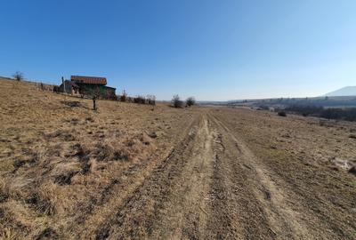 Teren Construcții intravilan de 500 mp, în Vlădeni - 3