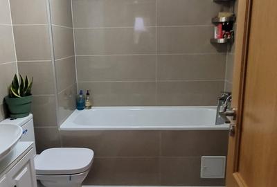 Apartament cu 3 camere decomandat, mobilat în Drumul Taberei - 17