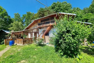 Casa de la marginea padurii! - 1