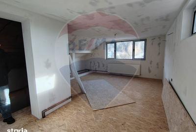 Casă cu 5 camere cu Teren 4000 Mp în Răzvad - 12