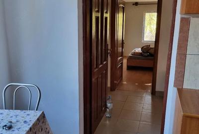 Casă cu 5 camere cu Teren 1106 Mp în Letca Nouă - 9
