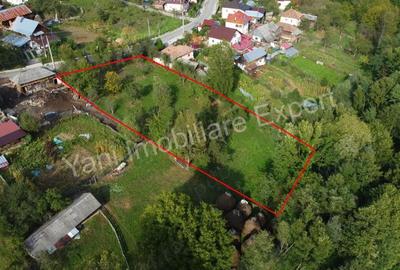 Teren de vanzare in comuna Arefu, sat Arefu, jude? Arge?. - 2