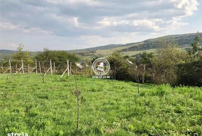 Teren de 6200 mp, în Mogoșești - 18