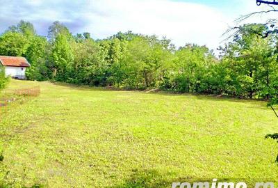 Casa Slanic Prahova pensiune,hotel 24 camere - 1