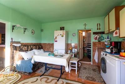 FILM! Casa cu sura, pivnita, balta cu pesti, 2.280 mp teren roditor, Lemnia, Cov - 18