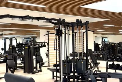 PENTHOUSE DE INCHIRIAT KISELEFF CU SPA, SALA DE SPORT - 15