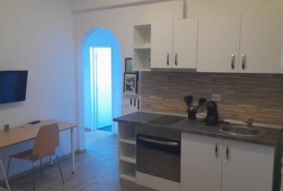 Apartament cu 2 camere decomandat, mobilat în Armeneasca - 7