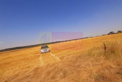 Teren pentru casa/case in Branesti pe strada Toporasi - 1