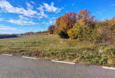 Terenuri intrevilane Comuna Mosoaia - 10