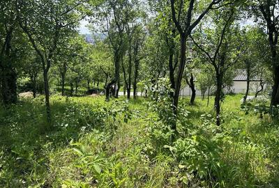 Teren de 900 mp, în Central - 5