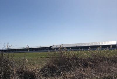 Teren extravilan de 4000 mp, în Mărăcineni - 12