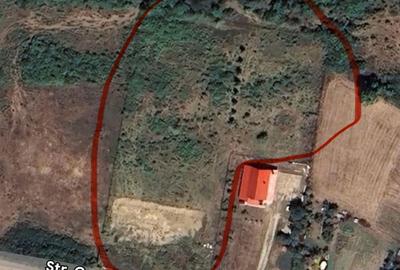 Teren de 5339 mp, în Dăbâca - 1