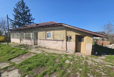 Casa de in Mihailesti I Posta Casa de in Mihailesti I Posta - 3