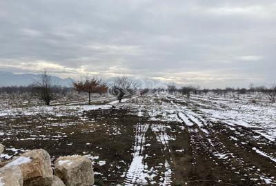 Teren intravilan de vanzare pentru constructii case Ghimbav - 4