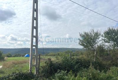 Teren Construcții intravilan de 3250 mp, în Betfia - 3