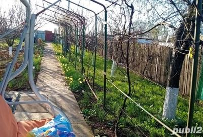 Casă cu 1 camere în Cotorca - 6