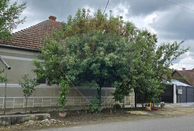 Casa / Vila de vanzare cu 3 camere/0% comision de la CUMPARATOR - 3