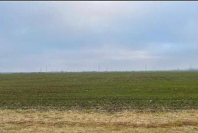 Teren Extravilan Cerna, cota parte 1/5 ID: R2581973 - 3